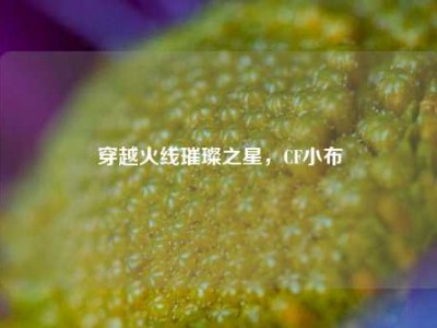 穿越火线璀璨之星，CF小布