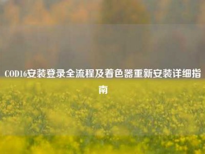 COD16安装登录全流程及着色器重新安装详细指南