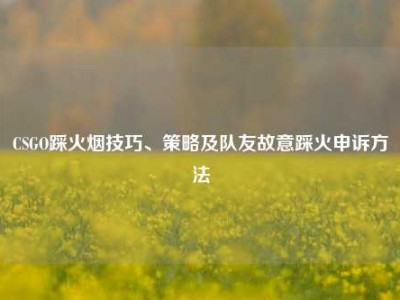 CSGO踩火烟技巧、策略及队友故意踩火申诉方法