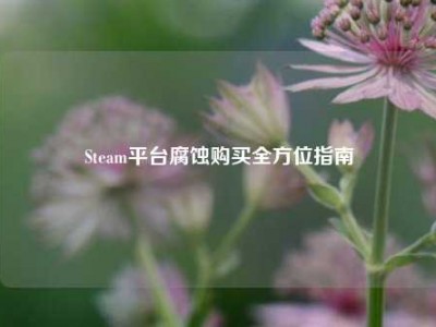 Steam平台腐蚀购买全方位指南