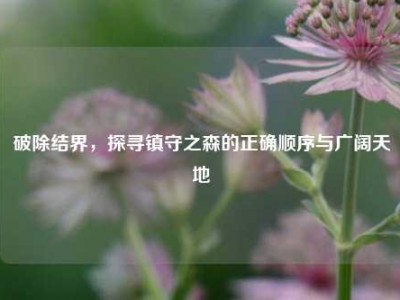 破除结界，探寻镇守之森的正确顺序与广阔天地