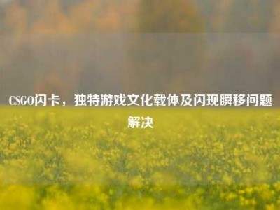 CSGO闪卡，独特游戏文化载体及闪现瞬移问题解决