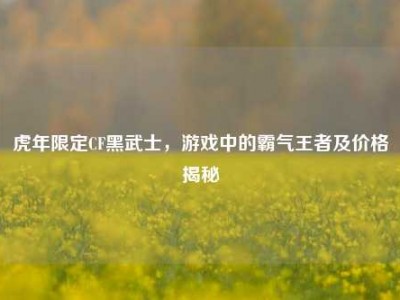 虎年限定CF黑武士，游戏中的霸气王者及价格揭秘