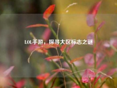 LOL手游，探寻大区标志之谜