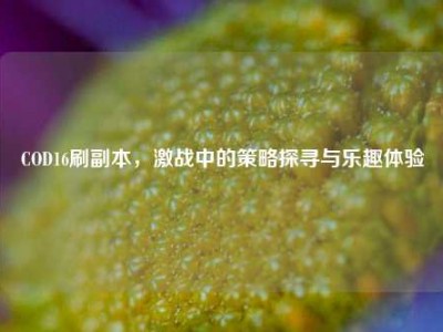 COD16刷副本，激战中的策略探寻与乐趣体验