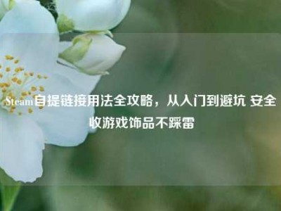 Steam自提链接用法全攻略，从入门到避坑 安全收游戏饰品不踩雷