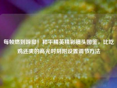 每帧燃到跺脚！和平精英精彩镜头图鉴，比吃鸡还爽的高光时刻附设置调节方法