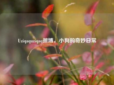 Uziqaquziqaq微博，小狗的奇妙日常