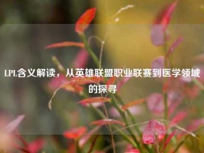 LPL含义解读，从英雄联盟职业联赛到医学领域的探寻
