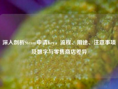 深入剖析Steam申请Key，流程、用途、注意事项及数字与零售商店差异