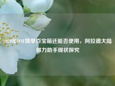 2020年DNF简单百宝箱还能否使用，阿拉德大陆得力助手现状探究