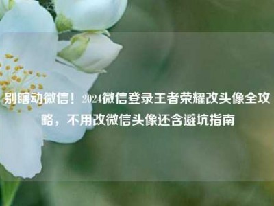 别瞎动微信！2024微信登录王者荣耀改头像全攻略，不用改微信头像还含避坑指南