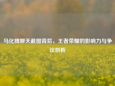 马化腾聊天截图背后，王者荣耀的影响力与争议剖析