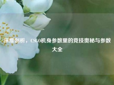 深度剖析，CSGO机身参数里的竞技奥秘与参数大全
