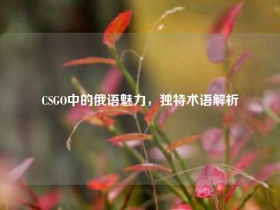 CSGO中的俄语魅力，独特术语解析