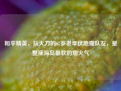 和平精英，玩大刀的67岁老年伏地魔队友，是整座海岛最软的烟火气