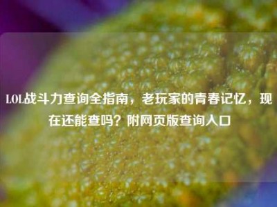 LOL战斗力查询全指南，老玩家的青春记忆，现在还能查吗？附网页版查询入口