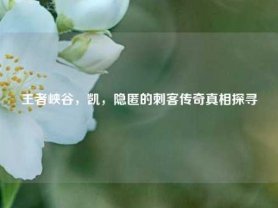 王者峡谷，凯，隐匿的刺客传奇真相探寻