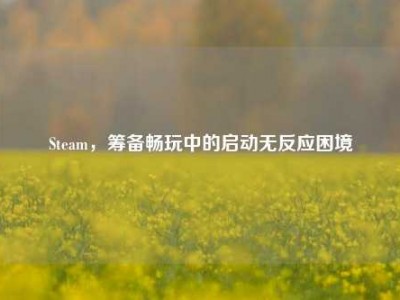 Steam，筹备畅玩中的启动无反应困境