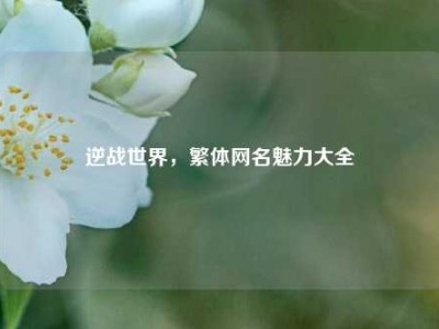 逆战世界，繁体网名魅力大全
