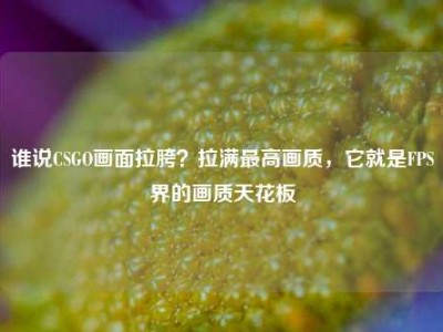 谁说CSGO画面拉胯？拉满最高画质，它就是FPS界的画质天花板