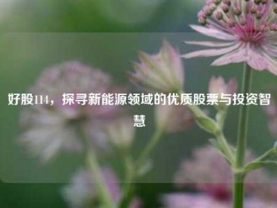 好股114，探寻新能源领域的优质股票与投资智慧