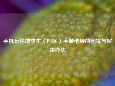 手机玩绝地求生（PUBG）手游卡顿的困扰与解决办法