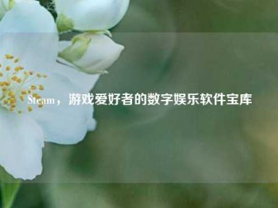 Steam，游戏爱好者的数字娱乐软件宝库