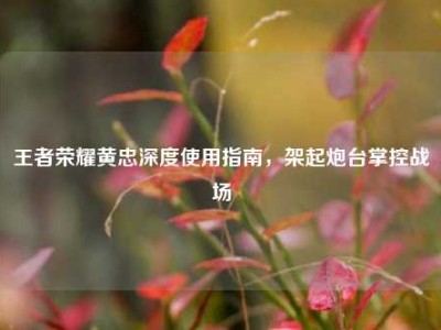 王者荣耀黄忠深度使用指南，架起炮台掌控战场