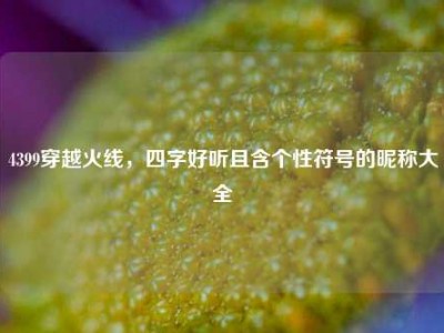 4399穿越火线，四字好听且含个性符号的昵称大全