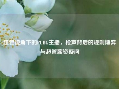 超管视角下的PUBG主播，枪声背后的规则博弈与超管薪资疑问