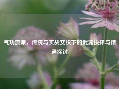 气功流派，传统与实战交织下的武器抉择与精通探讨