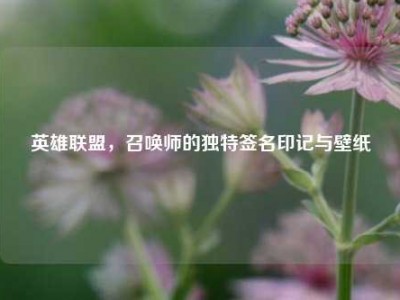 英雄联盟，召唤师的独特签名印记与壁纸