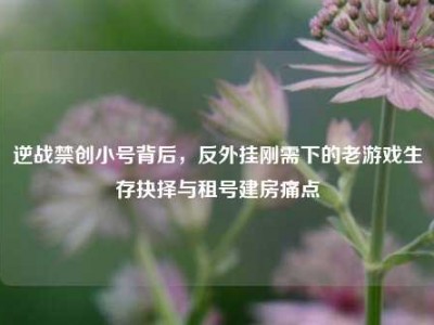 逆战禁创小号背后，反外挂刚需下的老游戏生存抉择与租号建房痛点