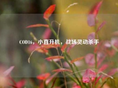 COD16，小直升机，战场灵动杀手