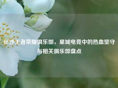 长沙王者荣耀俱乐部，星城电竞中的热血坚守与相关俱乐部盘点