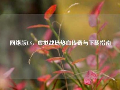 网络版CS，虚拟战场热血传奇与下载指南