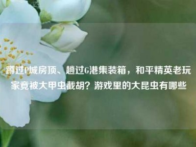 蹲过P城房顶、趟过G港集装箱，和平精英老玩家竟被大甲虫截胡？游戏里的大昆虫有哪些