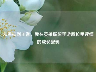 从黑铁到王者，我在英雄联盟手游段位里读懂的成长密码