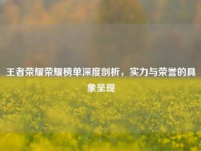 王者荣耀荣耀榜单深度剖析，实力与荣誉的具象呈现