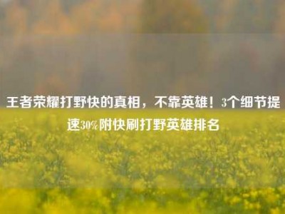 王者荣耀打野快的真相，不靠英雄！3个细节提速30%附快刷打野英雄排名