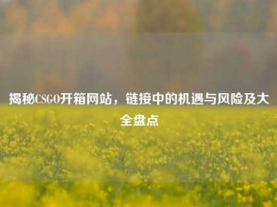 揭秘CSGO开箱网站，链接中的机遇与风险及大全盘点
