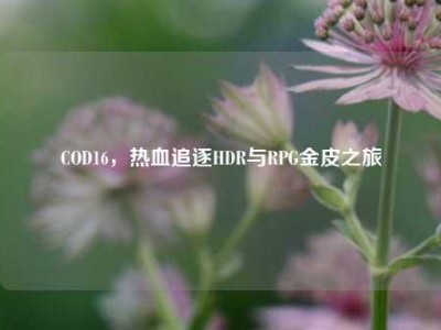 COD16，热血追逐HDR与RPG金皮之旅