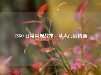 CSGO 日常常规战术，从入门到精通