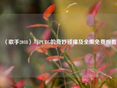 〈歌手2018〉与PUBG的奇妙碰撞及全集免费观看