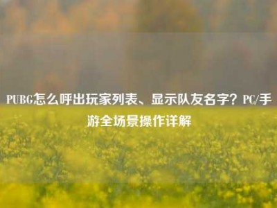 PUBG怎么呼出玩家列表、显示队友名字？PC/手游全场景操作详解
