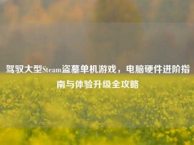 驾驭大型Steam盗墓单机游戏，电脑硬件进阶指南与体验升级全攻略