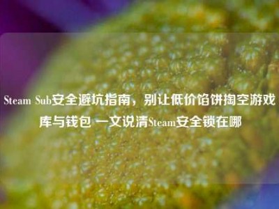 Steam Sub安全避坑指南，别让低价馅饼掏空游戏库与钱包 一文说清Steam安全锁在哪