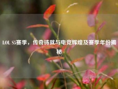 LOL S5赛季，传奇铸就与电竞辉煌及赛季年份揭秘