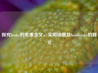 探究brake的多重含义、实用场景及handbrake的释义